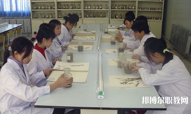 沈陽市中醫(yī)藥學校怎么樣、好不好
